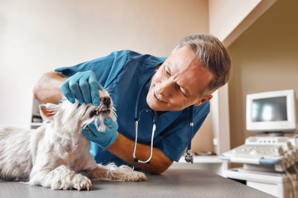 Best Weekend Emergency Dentist in Warsaw, IN